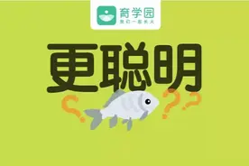 孩子吃鱼更聪明？这4种鱼一口都别多吃！高DHA的鱼得这么挑图片