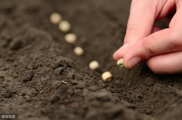 姘ㄥ熀閰歌偉鏂欐祦琛岃捣鏉ワ紝鍒嗘瀽姘ㄥ熀閰歌偉鏂欑殑浼樺娍锛屽垎浜柦鑲ユ柟娉? onerror=