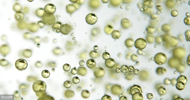 胶原蛋白是骗局吗 胶原蛋白产品真有效吗?