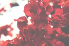 只要活着一定会遇上好事的图片