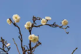 李煜在春天思念弟弟，写下一首《清平乐》，末二句成千古名句图片