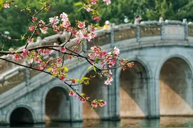 宝墨园美不胜收，艺术精品琳琅满目图片