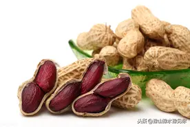发现，生活中“五颜六色”的花生，你见过哪几种呢？图片