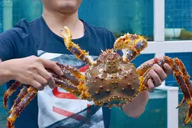 来来海鲜 | 厦门本地人吃的海鲜大排档，一桌3500元，镬气十足图片