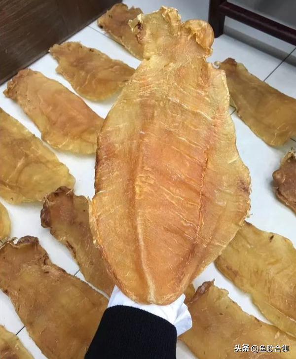 太平洋 产妇 花胶 2025年产后 花胶