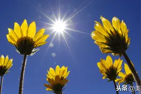 关于夏天的经典文艺语录，原来夏天也可以这么美好图片