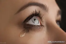 流泪的眼睛图片