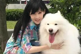 知名女星被流浪狗咬伤，面部缝9针险毁容，52岁周慧敏留言关心图片