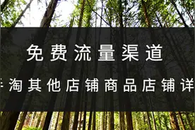 免费流量渠道——手淘其他店铺商品店铺详情图片