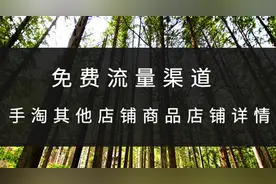 免费流量渠道——手淘其他店铺商品店铺详情图片