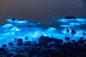 辽宁大连哈仙岛民宿哪家好？吃住玩260元/天起，2021年避暑首选地图片