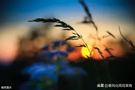 乡村的夜景是一道别致的风景，小学生有感受过乡村的夜吗？图片