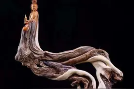 我与菩萨屡屡相遇图片
