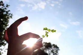 《人生七年》：我们拼尽全力，过着平凡的一生图片
