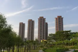 深圳楼市现状：高端在观望，中端在打新，低端在抢房图片