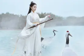 原创交领国风汉服，素雅大气的仙鹤刺绣，犹如画中神仙图片