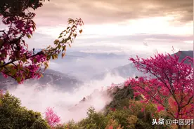 精的活力不足，中医如何调理？图片