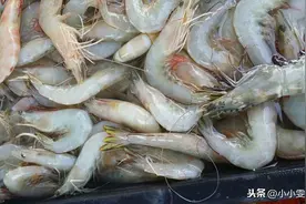 吃虾时，到底要不要去虾线？60岁老渔民告诉你答案，别再做错了图片