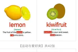 10个主题795张单词卡 带音标和例句 图案精美可打印 英语启蒙必备图片