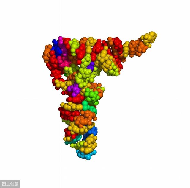 主管药师基础知识-生物化学2-核酸的结构与功能