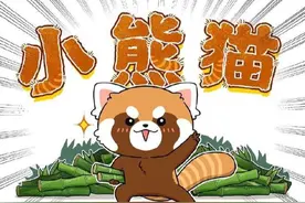 漫画：还记得我发过的小熊猫吗，那么它与国宝熊猫有什么区别呢图片