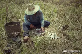俗话说：“姑死了，舅埋了，表兄表弟不来了”，究竟啥意思？图片