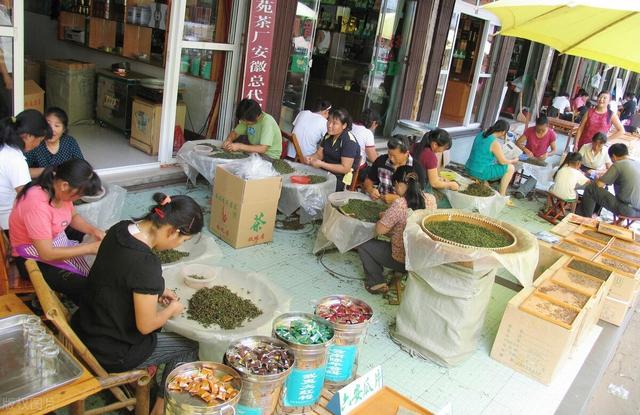 市面上的假茶为何这么多？原因有2点，很多人早就料到