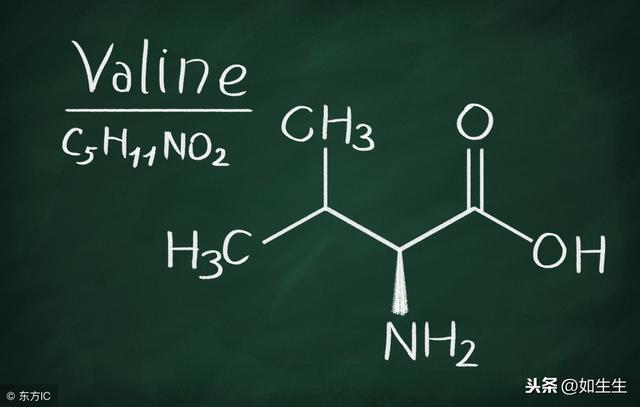 支链氨基酸，肌肉酸痛的克星
