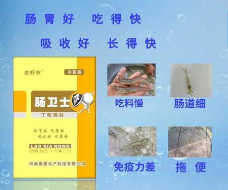 发酵料直接降低白便发生率！一招教你制作发酵料