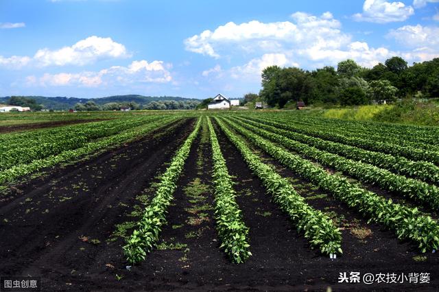 浠€涔堟槸姘ㄥ熀閰革紙鑲ワ級锛熷畠鏈夊摢浜涘啘涓氫环鍊硷紵濡備綍鎸戦€夊拰浣跨敤锛? onerror=
