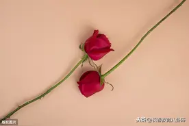 长春适龄儿童少年与父母中一方在同一户籍上，是否符合两个一致？图片