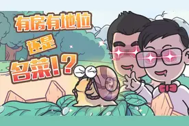 为什么法国蜗牛那么贵，中国蜗牛却没人吃？图片