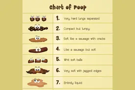 观“便”识健康：关于大便的五大常见疑问这里说清楚了，值得收藏图片