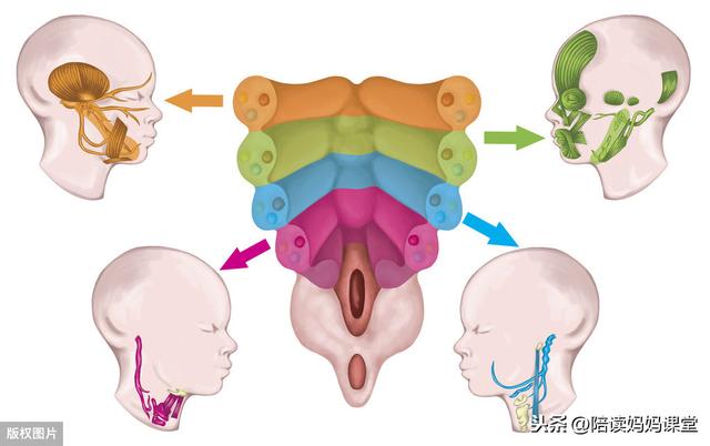 130句名人名言,分门别类,给孩子的写作添素材 130句名人名言,分门别类,给孩子的写作添素材
