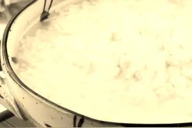 酒酿小科普图片