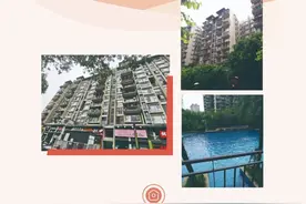“还有这么高性价比的深实验学区房？”图片