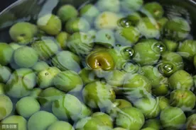 被中国人忽视的水果，却在世界有影响力，尤其日本人把它捧上了天图片