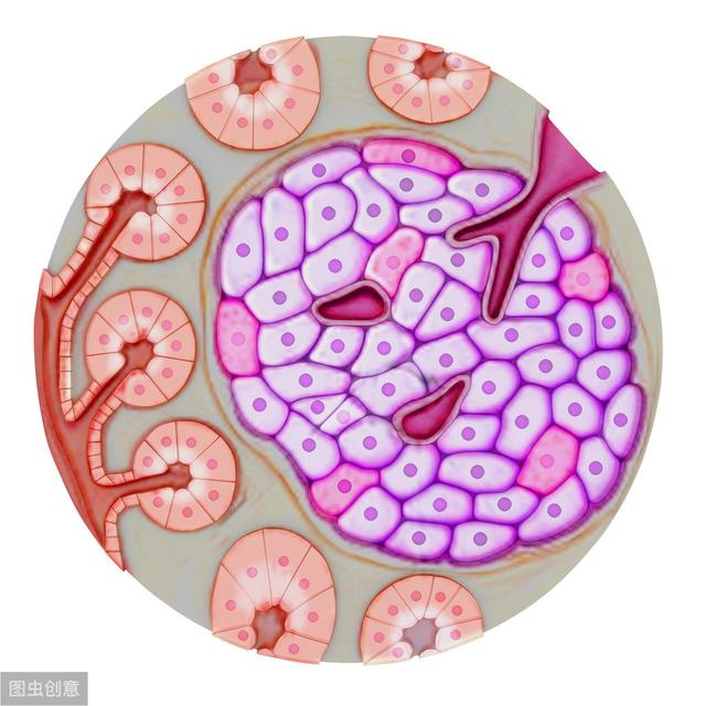 周大夫带你了解什么是胰岛素和胰岛素抵抗？