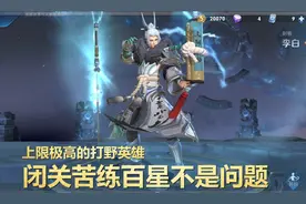 上限极高的四位英雄，高端局打野的宠儿，闭关苦练后百星不是问题图片