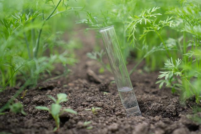 为什么都说水溶肥好？详解水溶肥优势，化肥或将淘汰