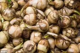 农村特有的6种“土特产”，最后一种是下酒的好菜，你吃过几种呢图片