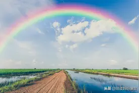 2020部编版小学语文三年级下册第三单元知识梳理图片