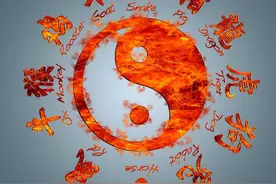 「每天学点英语单词」生肖集合图片