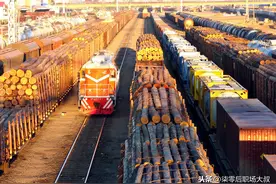 中国全面禁伐，绝大部分木材需要进口，你知道是怎么来的吗？图片