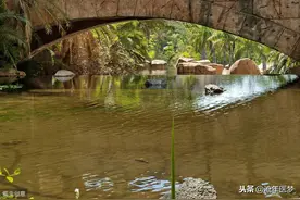 潮起潮落，大自然依旧以它自己的方式存在，美好而公立图片