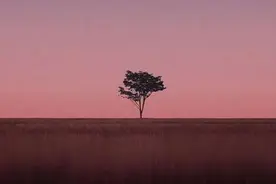 「晚·安」|祝你前程似锦，在冬深，在初春，在夏至，在秋末图片