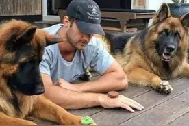 这几种狗很护主，时刻都在“保护”你，你感受到它的爱了吗？图片