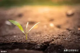 前半生已往，无论经历过什么，好的坏的，都是成长图片