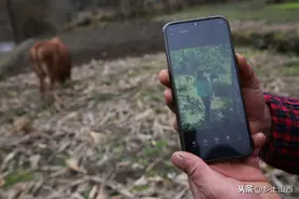 云南媳妇和大山里男子离婚，留下3岁女儿，如今生活成啥样图片