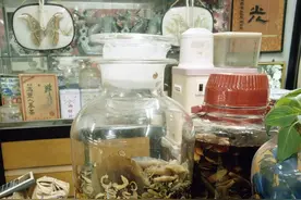 来源于动物“毒”怎么来的？动物“毒”的中药都有哪些药理作用图片